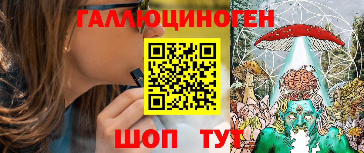 Псилоцибиновые грибы Psilocybe Волжск