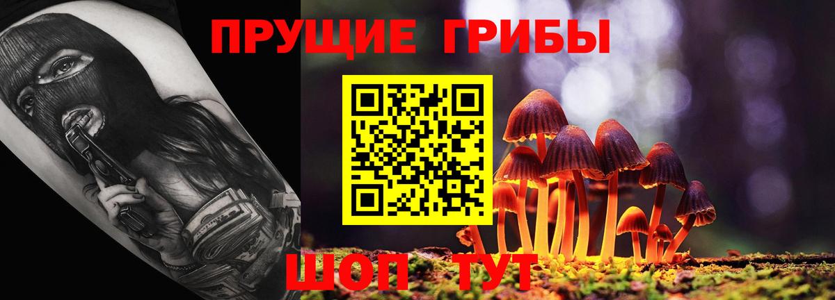 Псилоцибиновые грибы прущие грибы  Вход с VPN  Псилоцибиновые грибы мухоморы  Волжск 